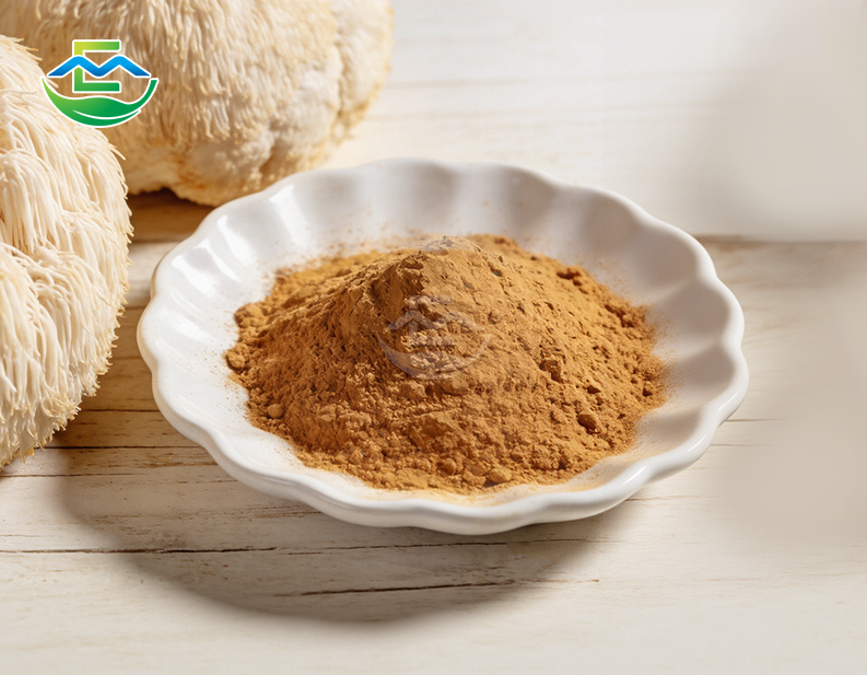 Lion's Mane Extract Powder